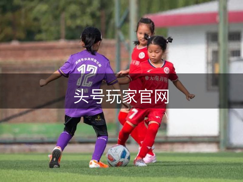 平台介绍